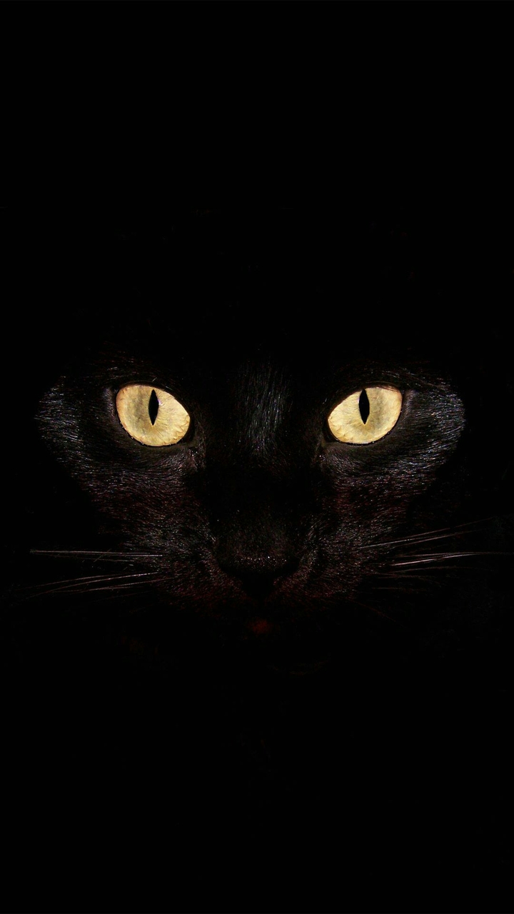 Dark Knight.....✌