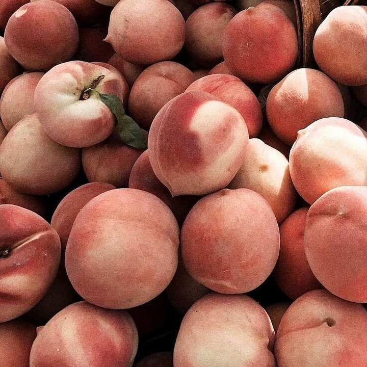 fruits