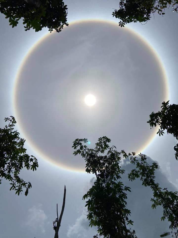 Sun