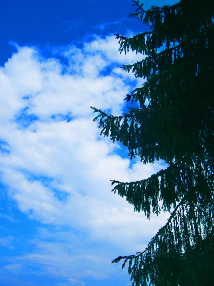 sky