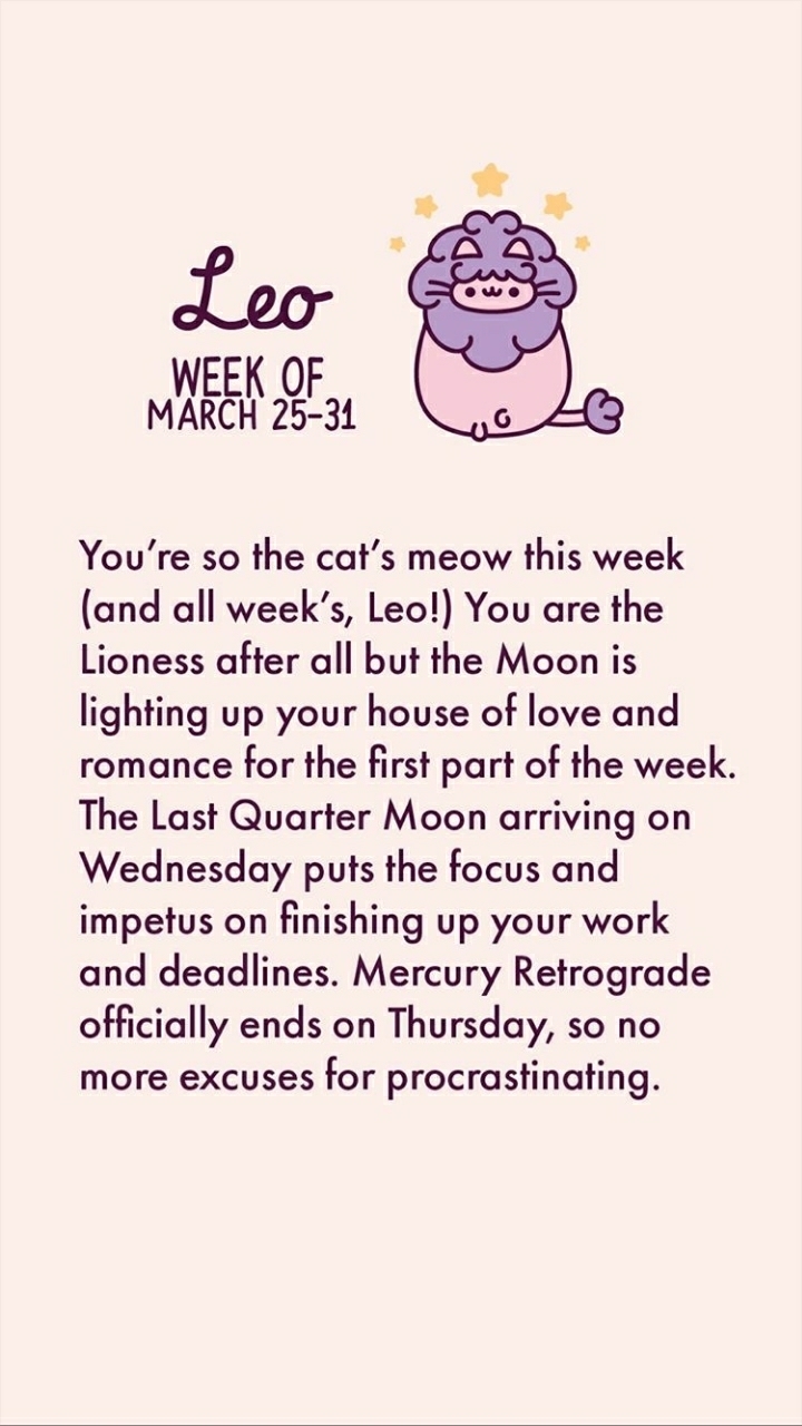 pusheen