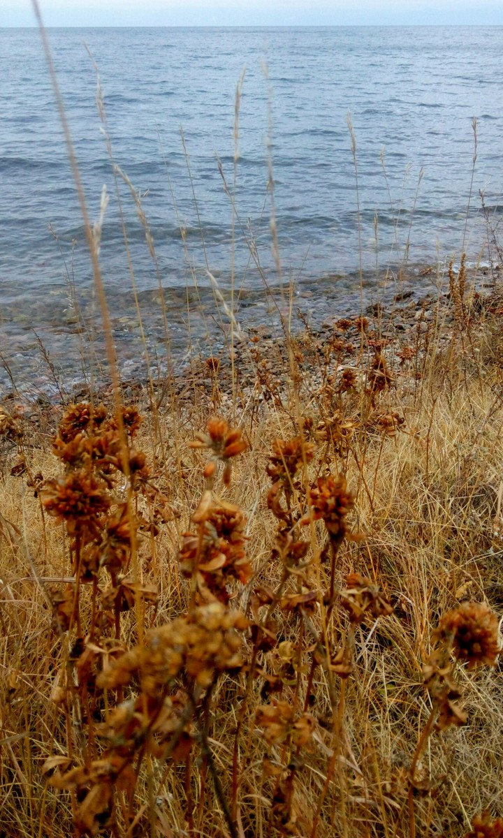 Autumn. Baikal. Wild.