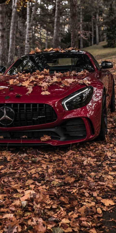 MERCEDES
