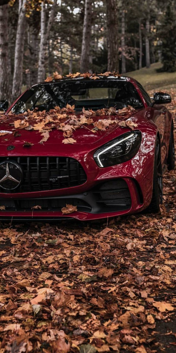 MERCEDES