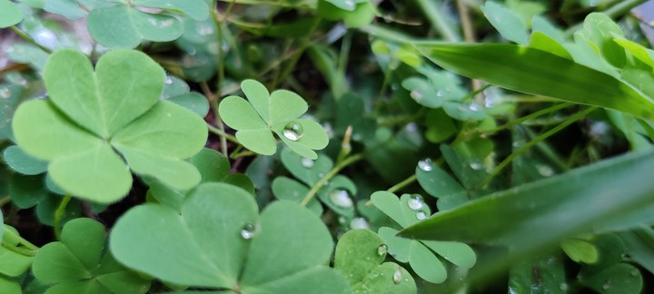Droplets