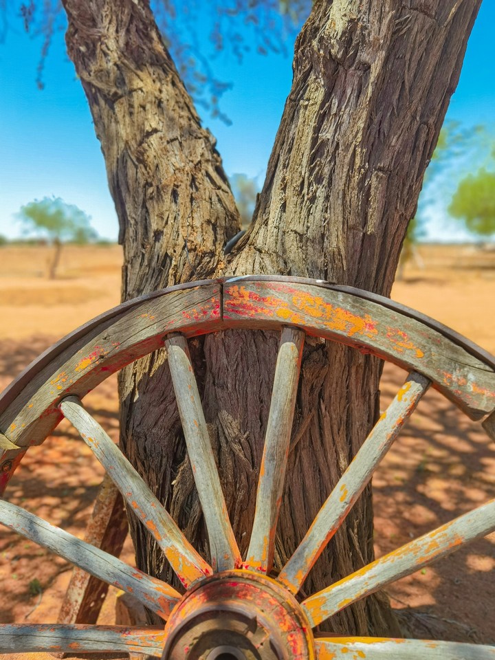 Wheel
