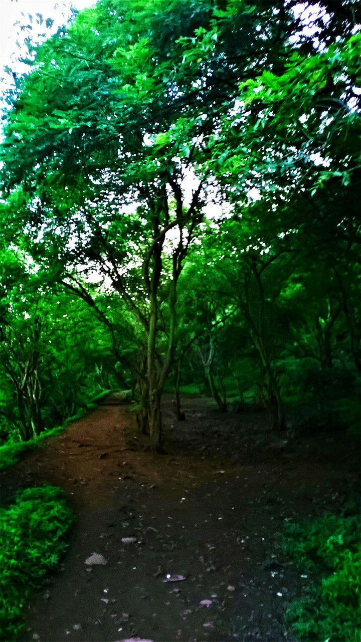 Pathway