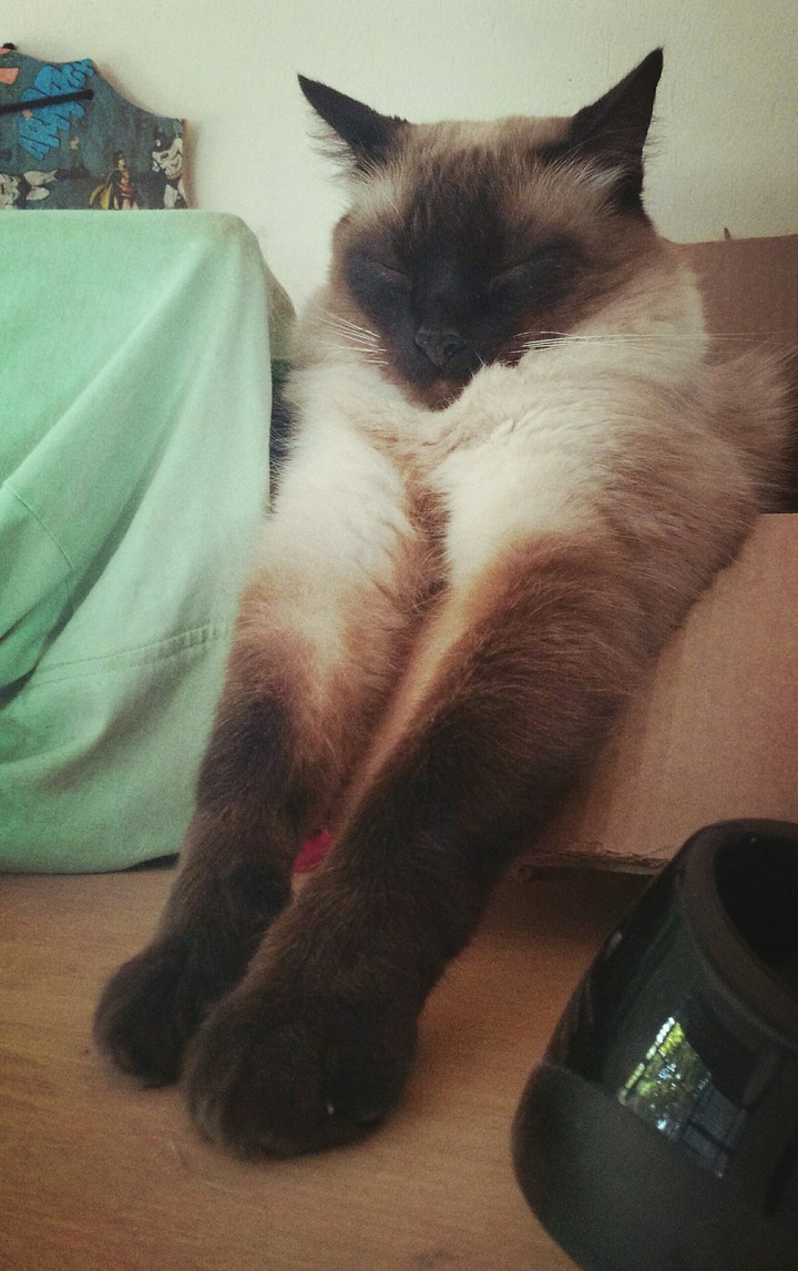 zzz