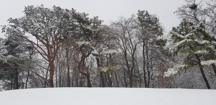 Snow White