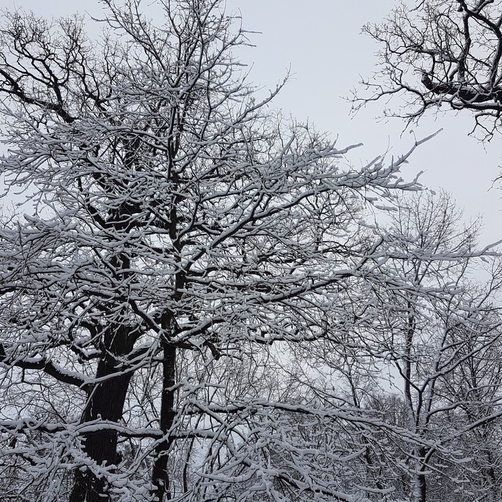 winter