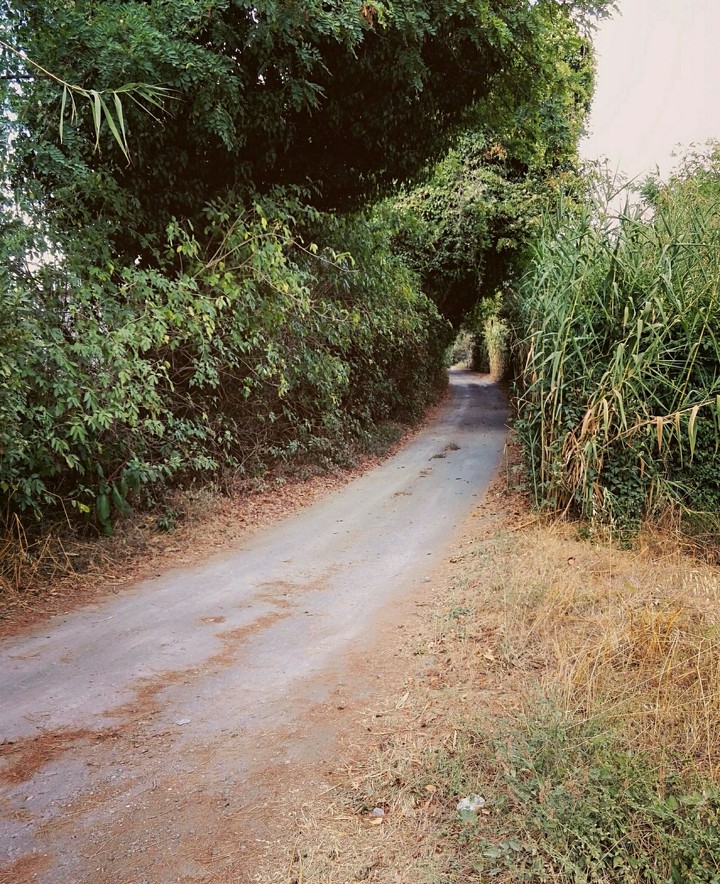 Pathway
