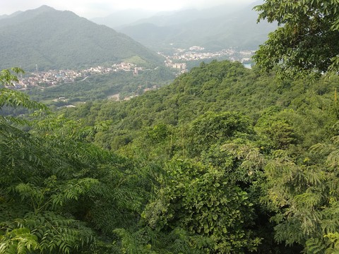 NATURE
