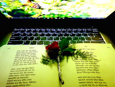 poetic rose