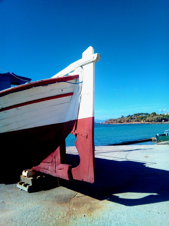 ⛵