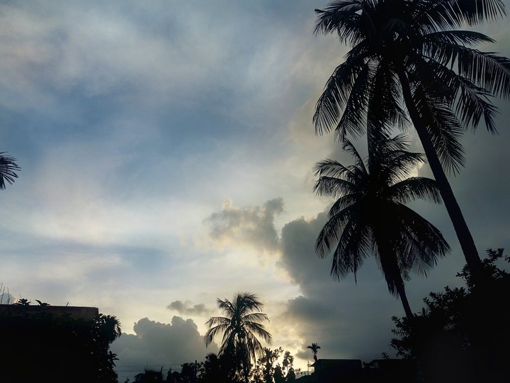 the calm sky