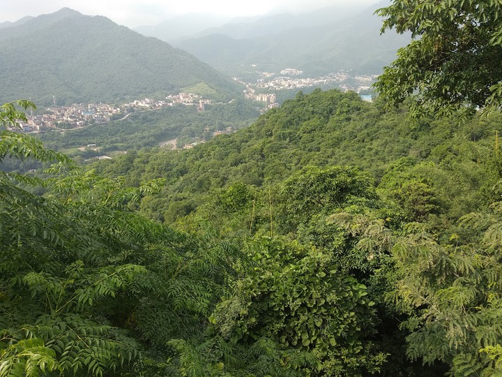 NATURE