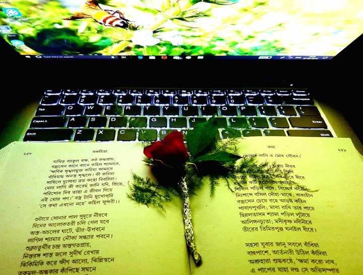 poetic rose