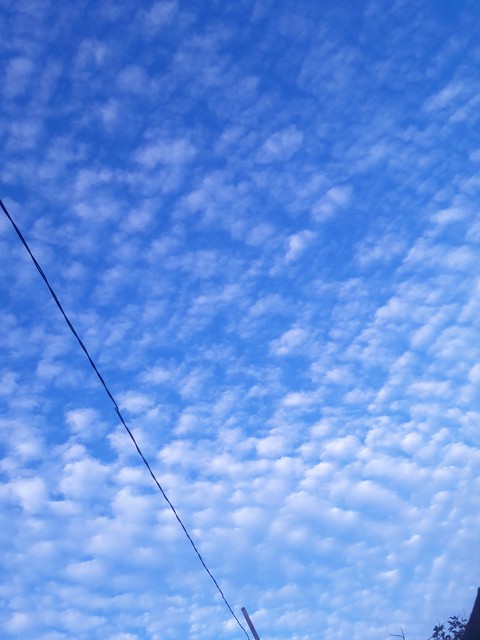 Sky