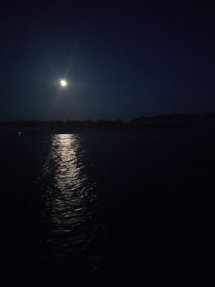 The moonlight..