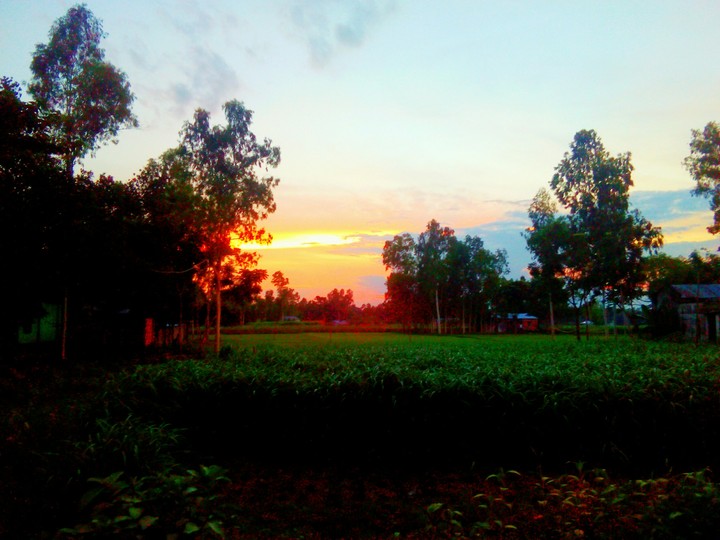 Nature