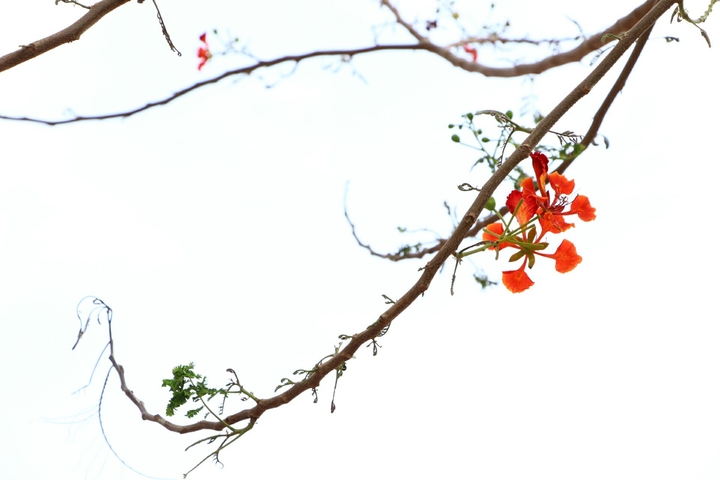 its click by mee..i