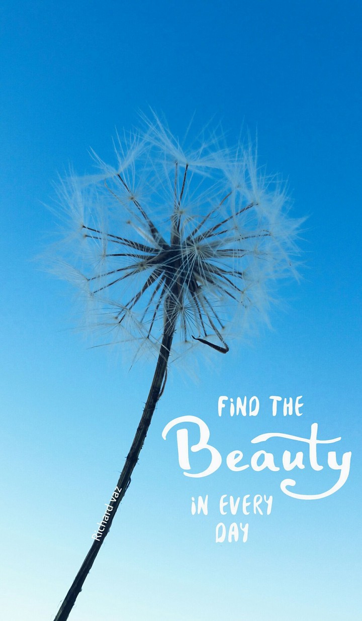 Find The Beauty In Every Day...