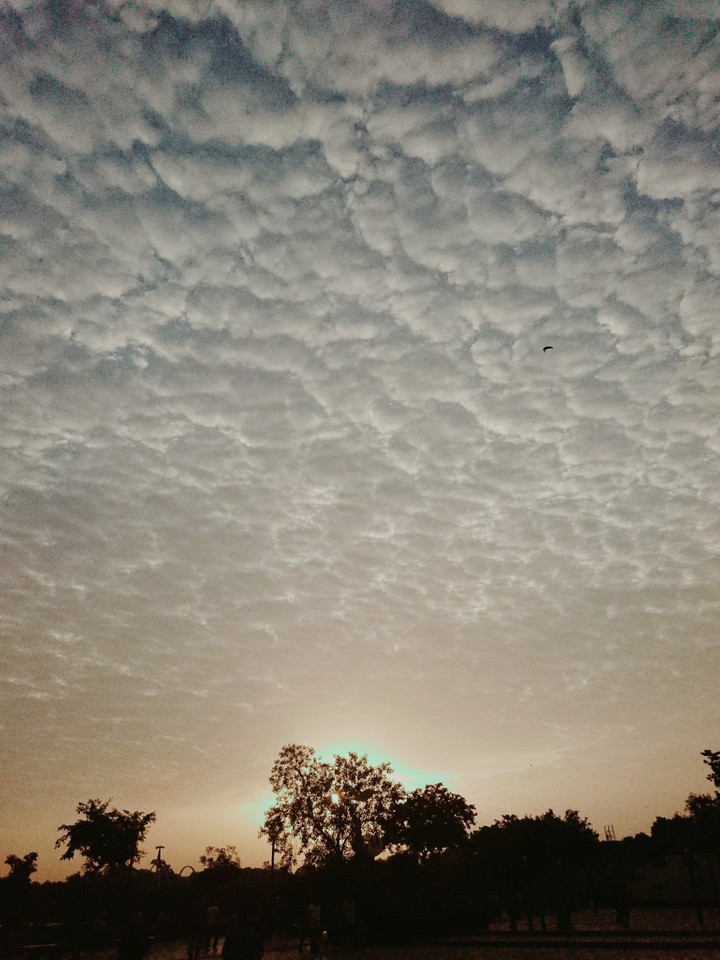 Sky