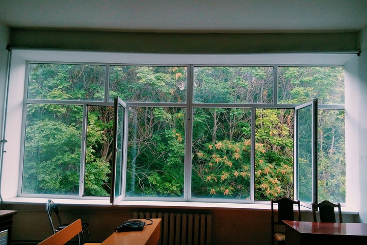 trees