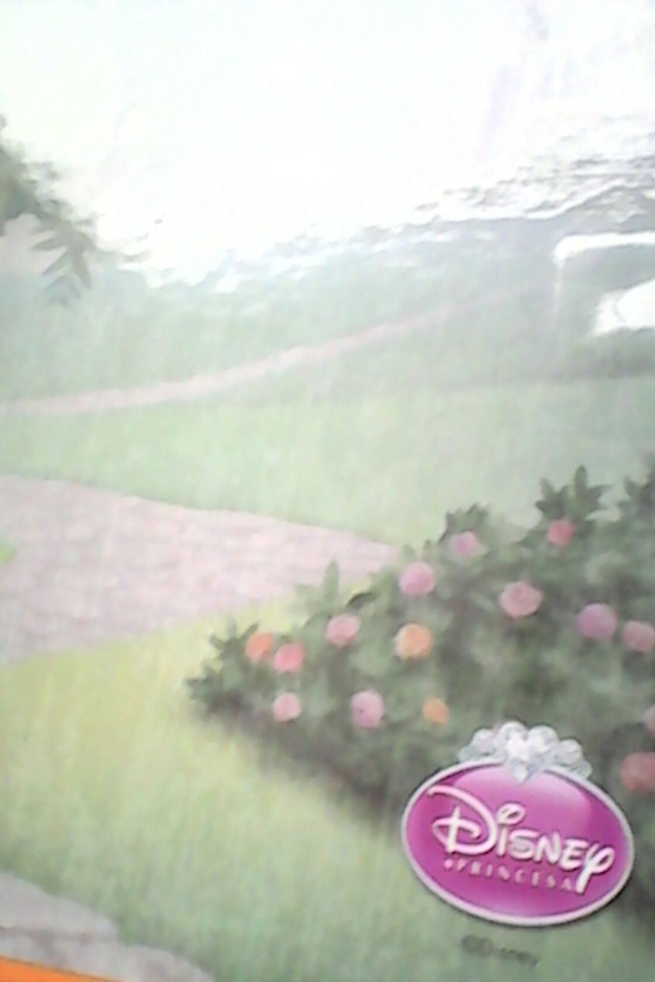 FLORES