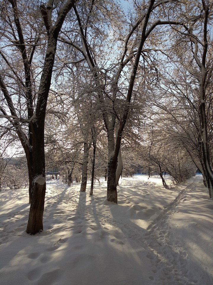 Русская зима. Russian Winter.