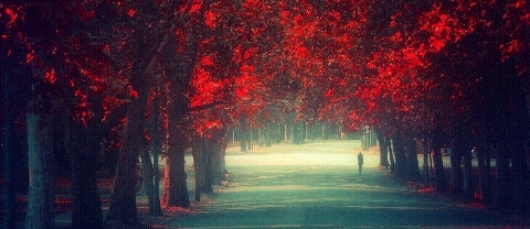 walking alone