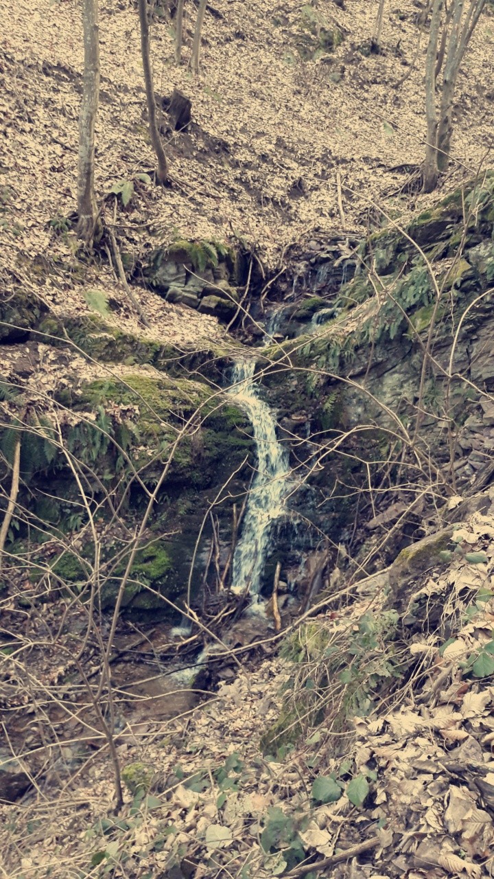 Cascade