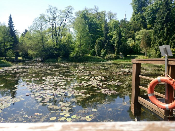 Pond