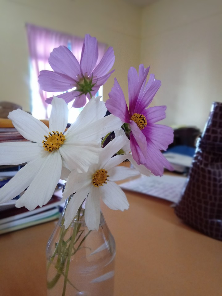 floral delight2