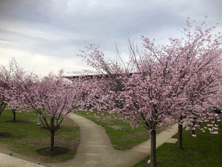 Spring