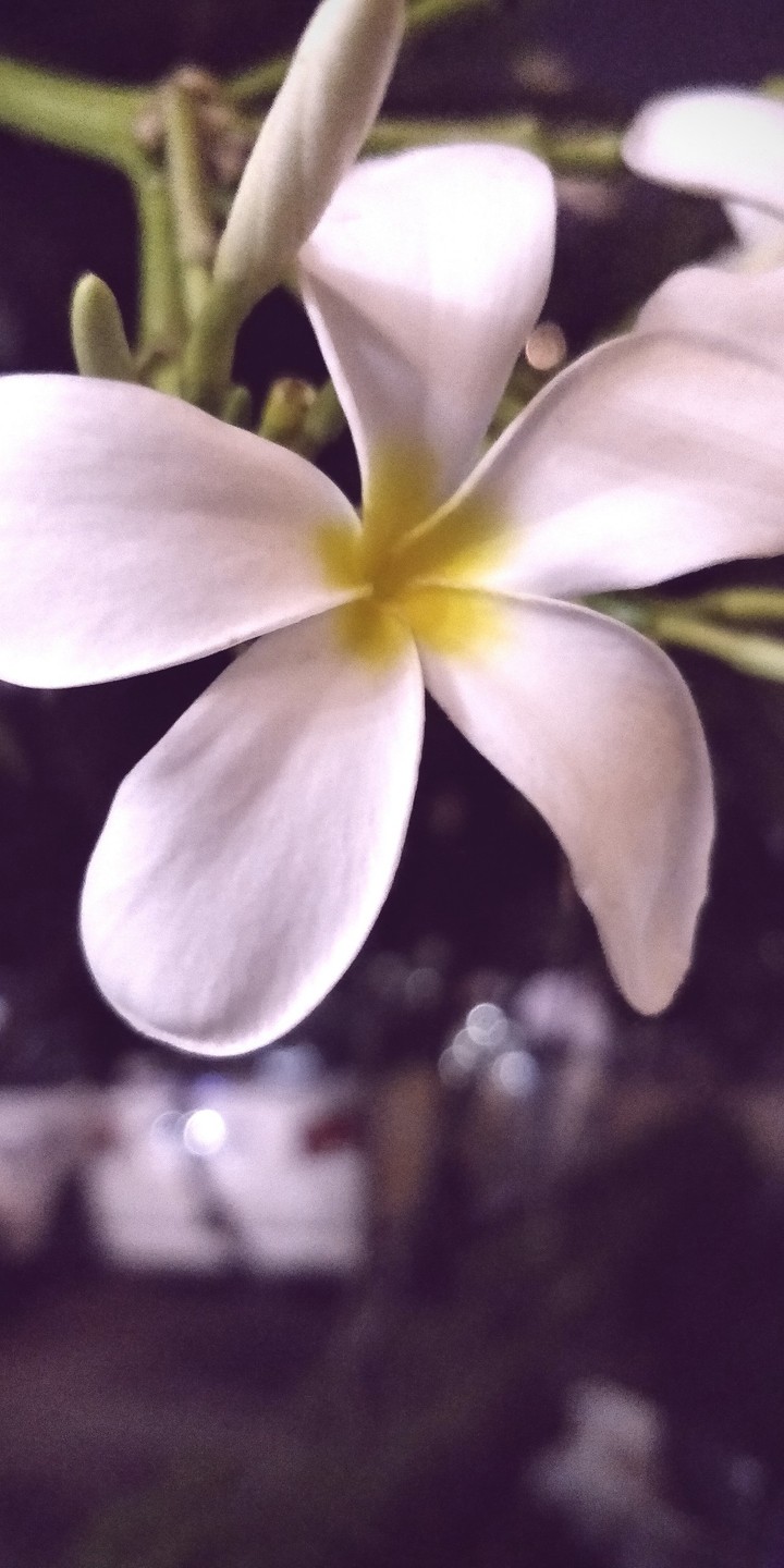beautiful