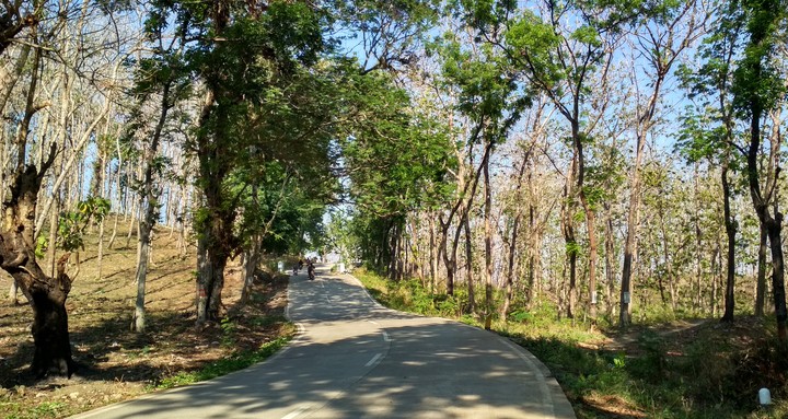 Road to home