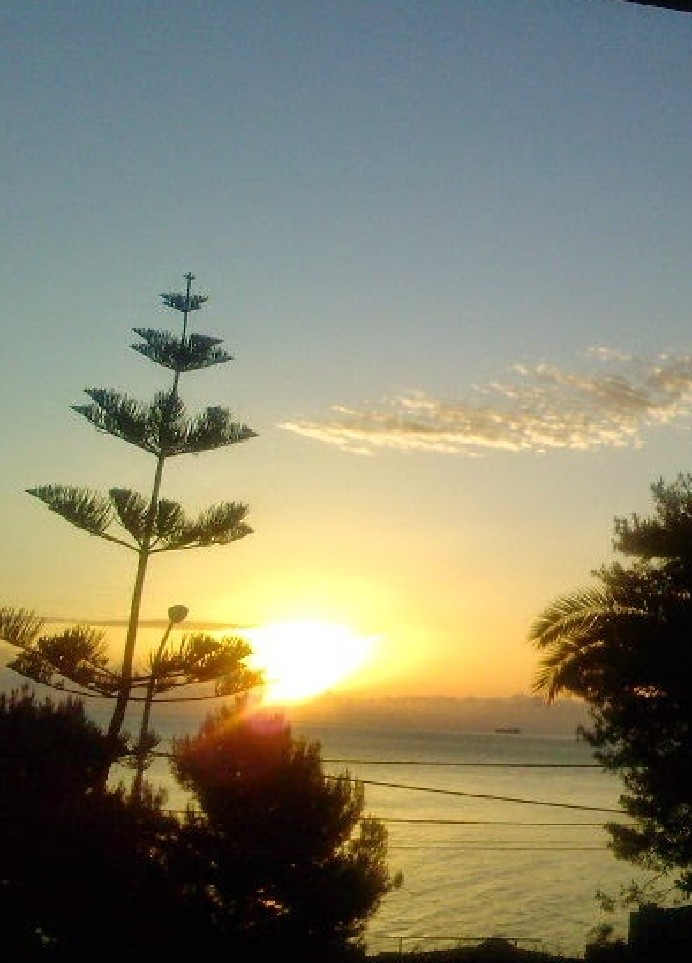l'alba dalla mia finestra