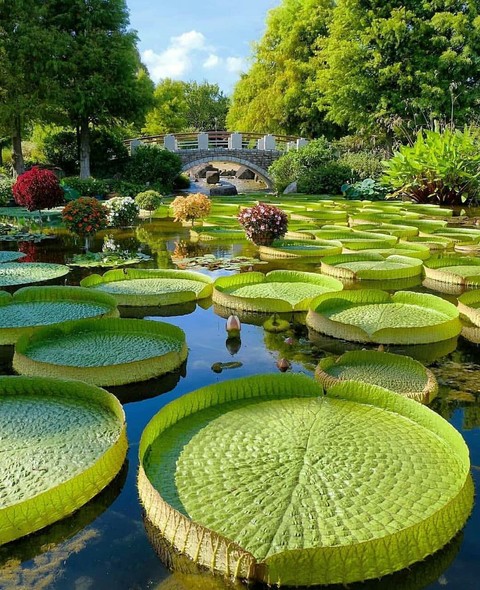 landscapes, landscape वॉलपेपर