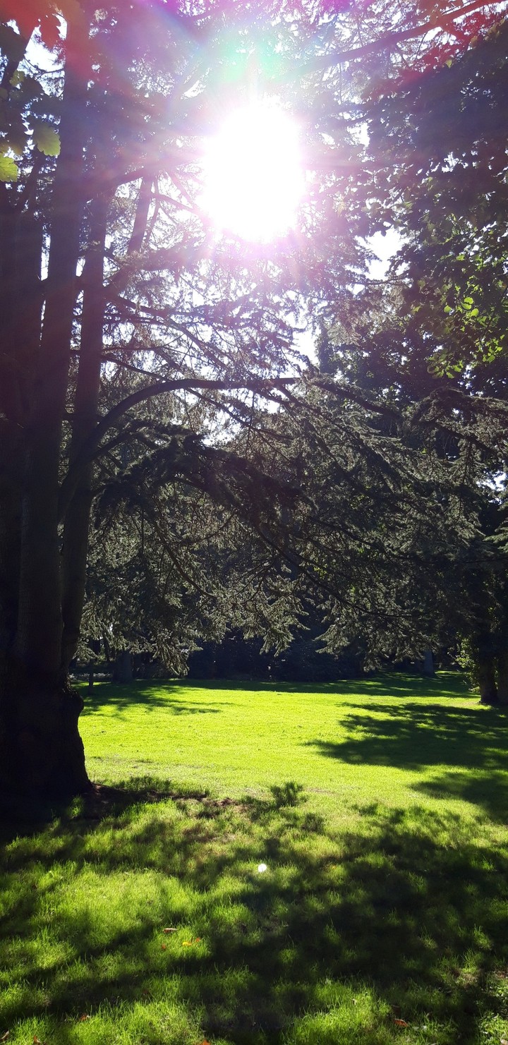Forêt de Mongeon Le Havre France
