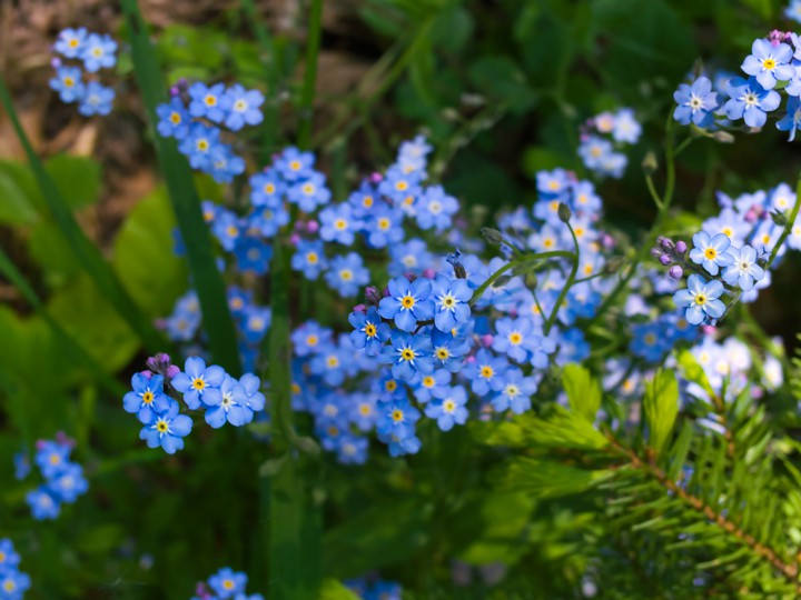 °•❀•°♡♧°•❀•°♡♧°•❀•°♡♧°•❀•°