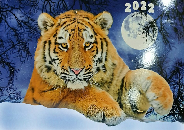 С наступающим 2022 годом!❤️❄️❄️