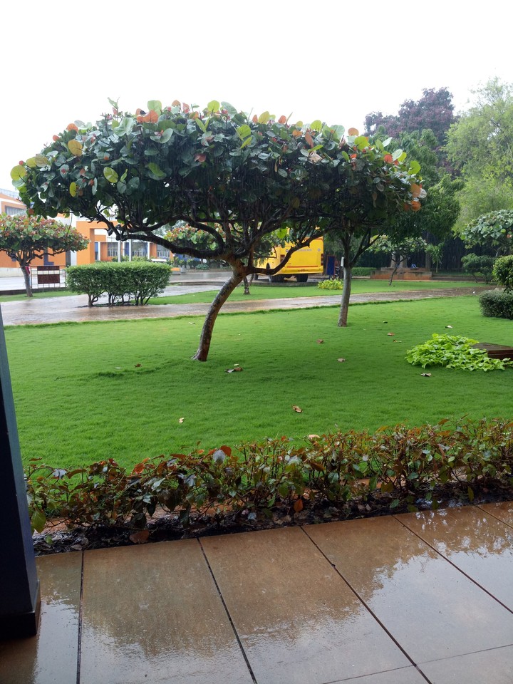 rain makes everything beautiful