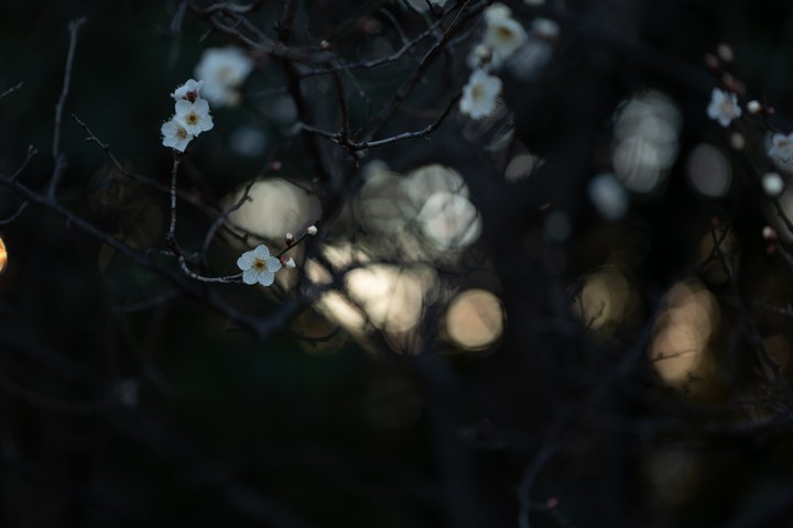 Created by nature