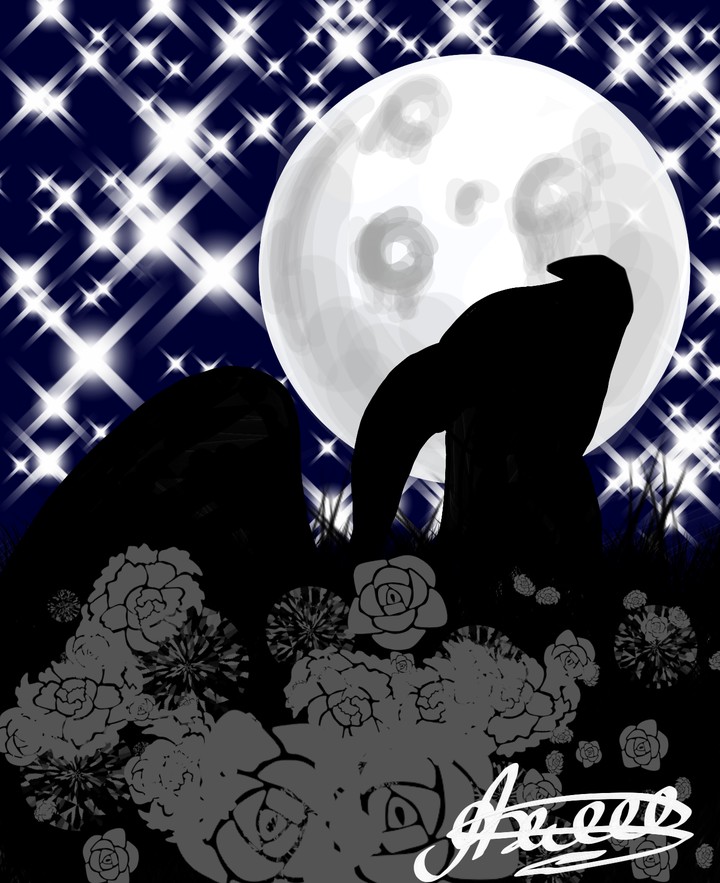 Night