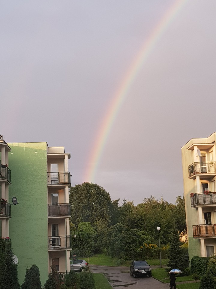 rainbow
