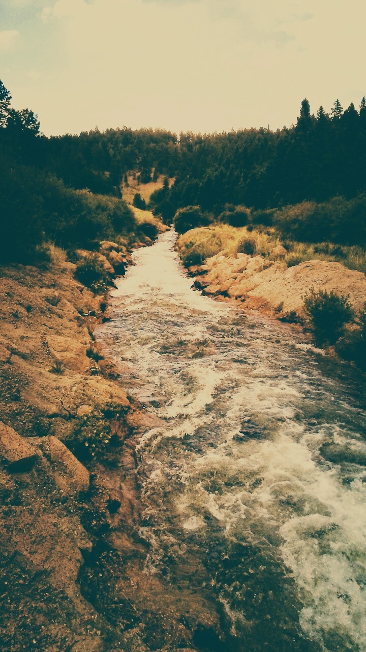 nature