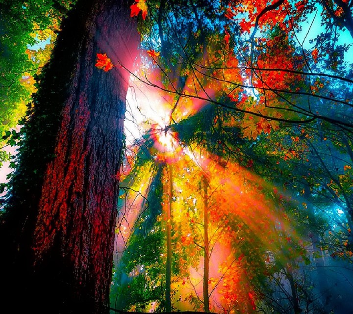 Lovely Nature!!!