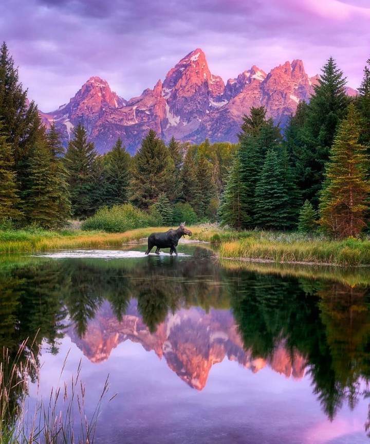 nature
