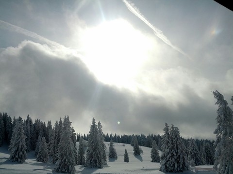 Winterwonderland
